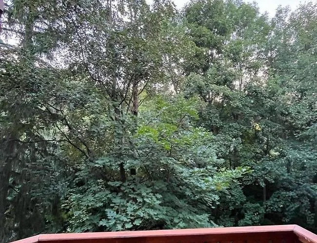 Apartamento Centrum - Szum Potoku *